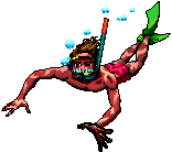 Snorkeller